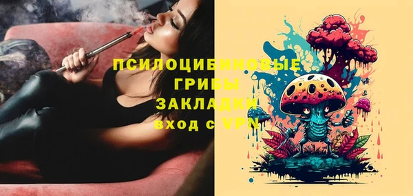 круглые Белокуриха